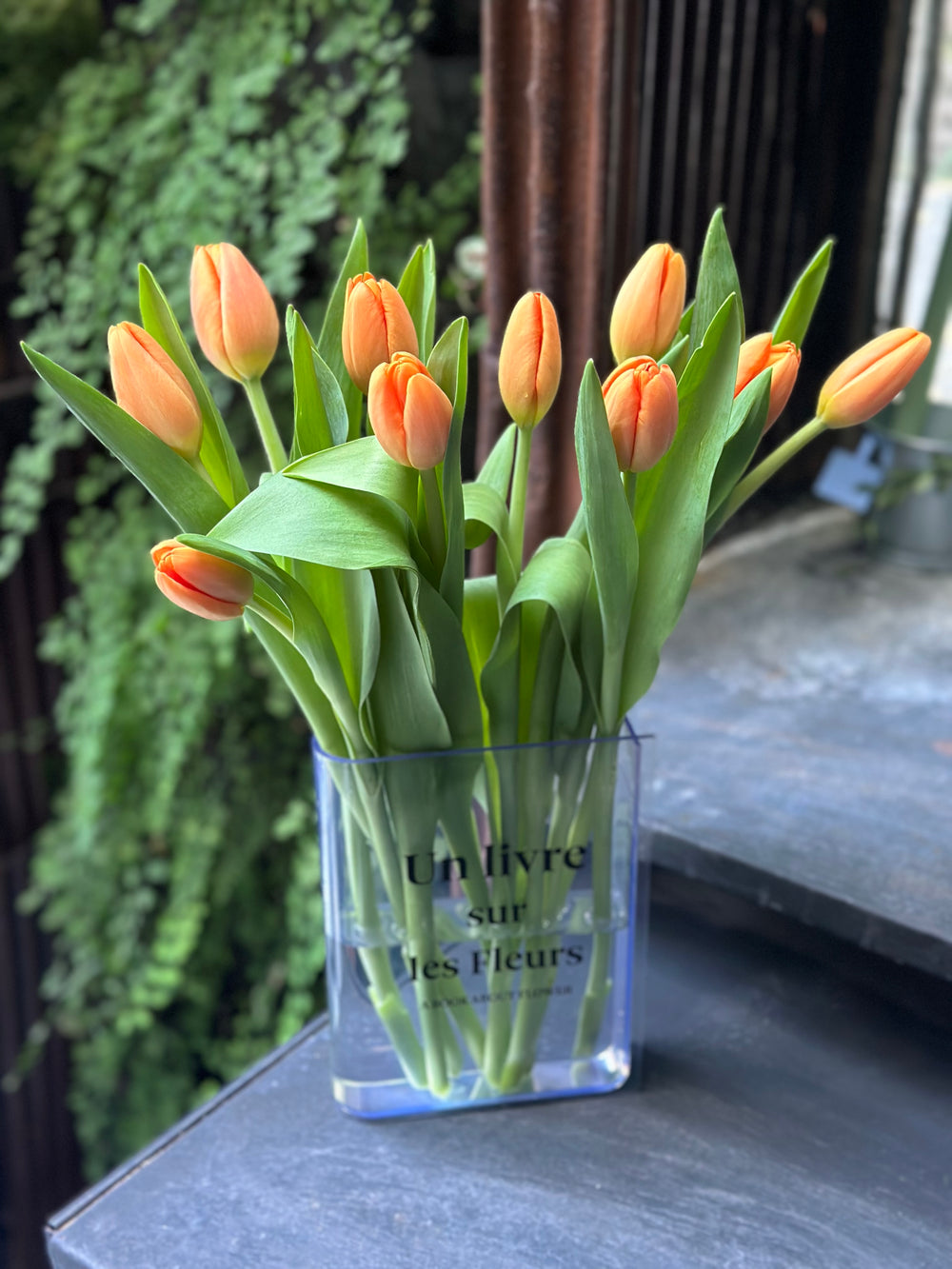 Florero book + Tulipanes