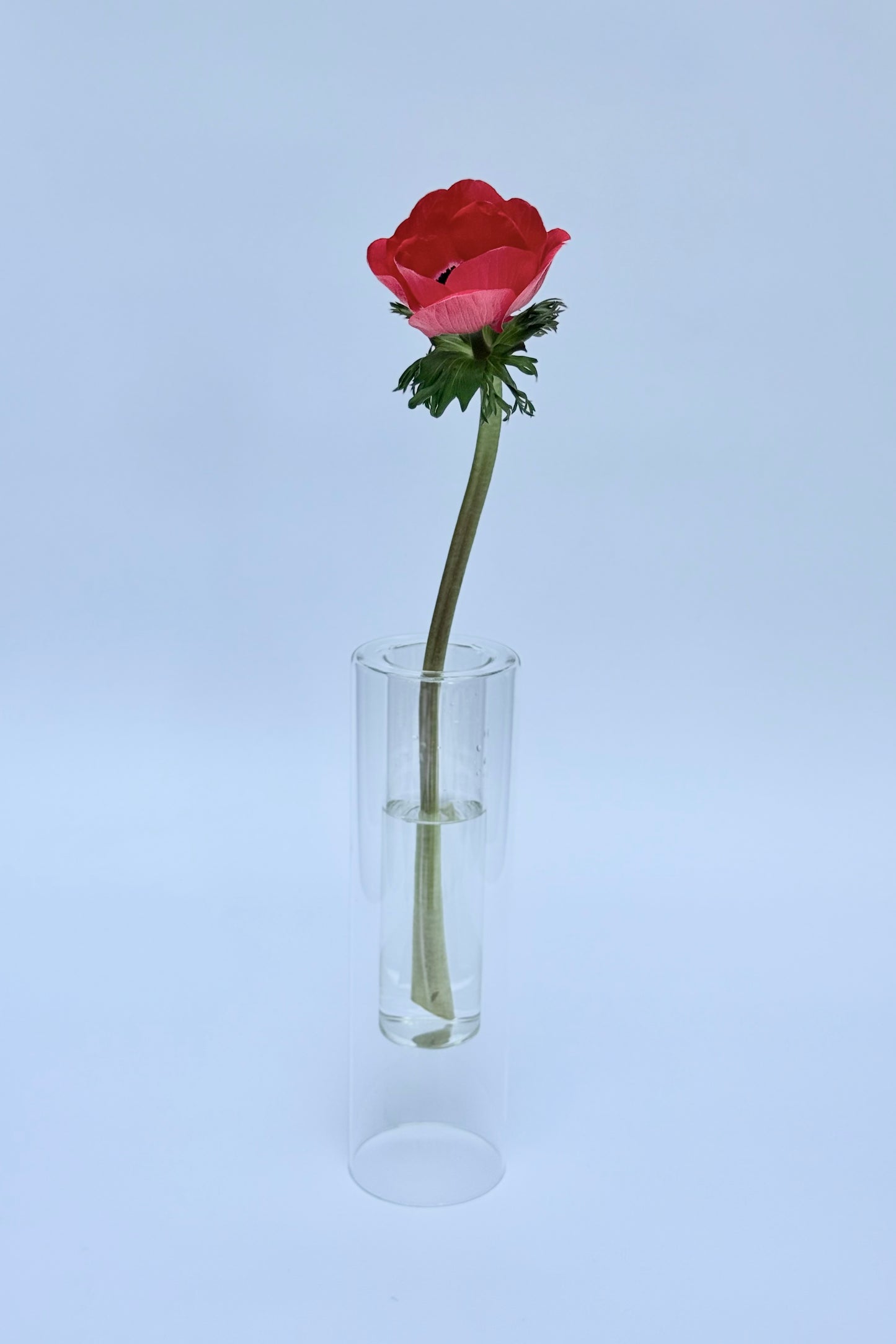 
                  
                    Florero Aura
                  
                