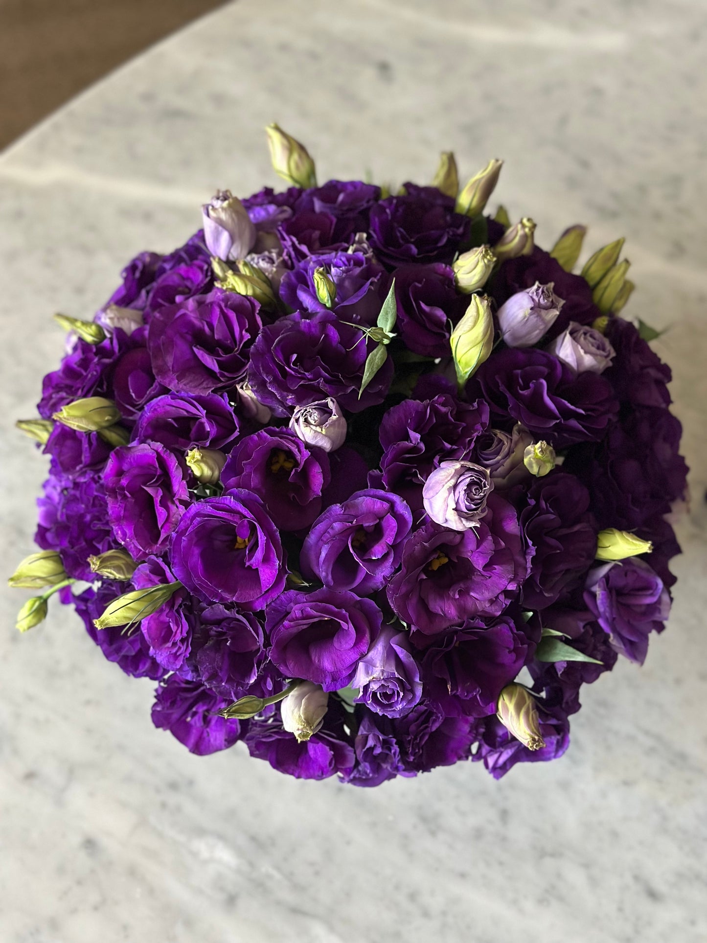 
                  
                    Gâteau Morado
                  
                