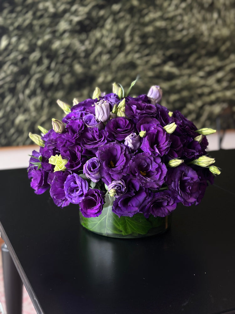 
                  
                    Gâteau Morado
                  
                