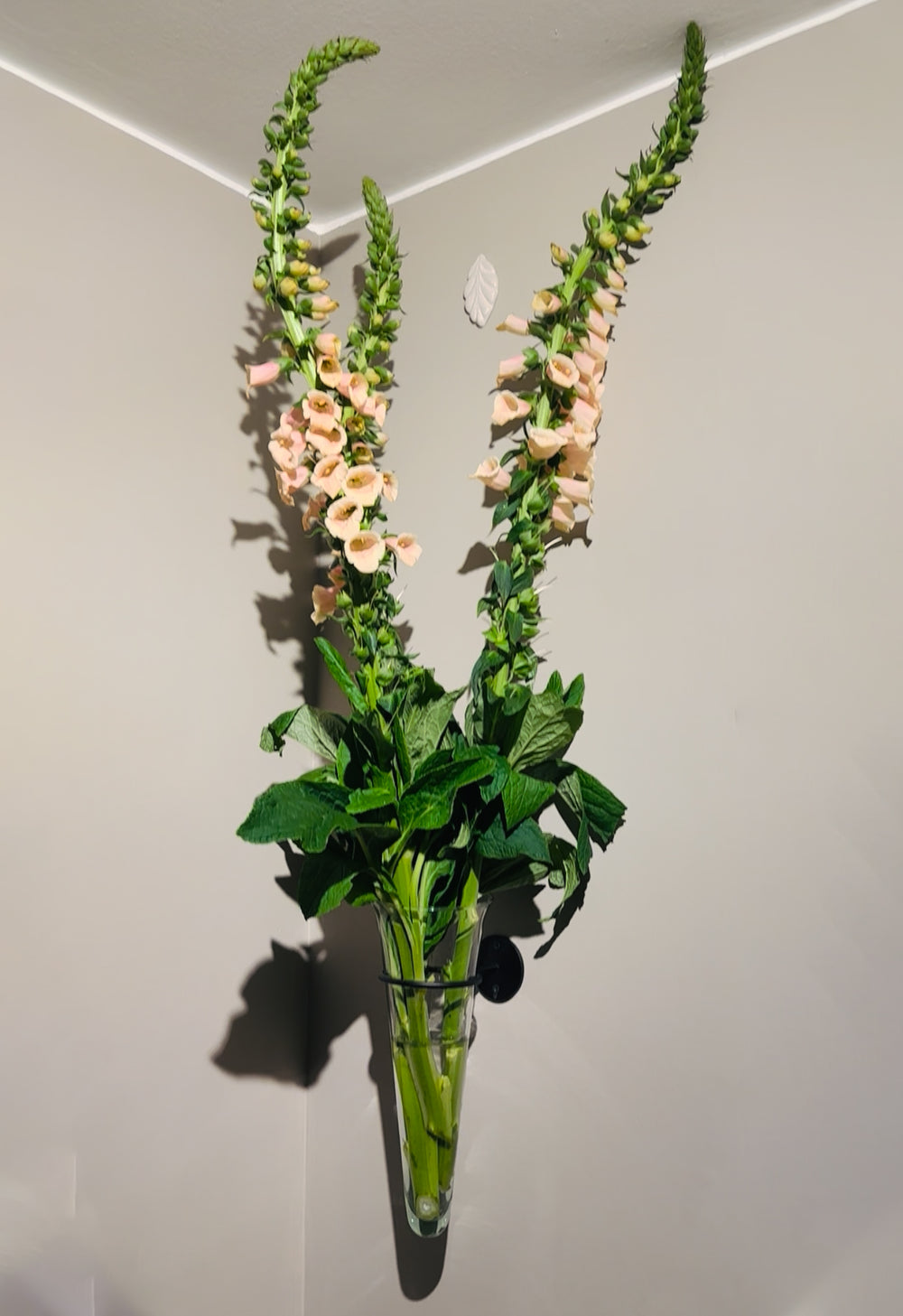 Florero para muro grande