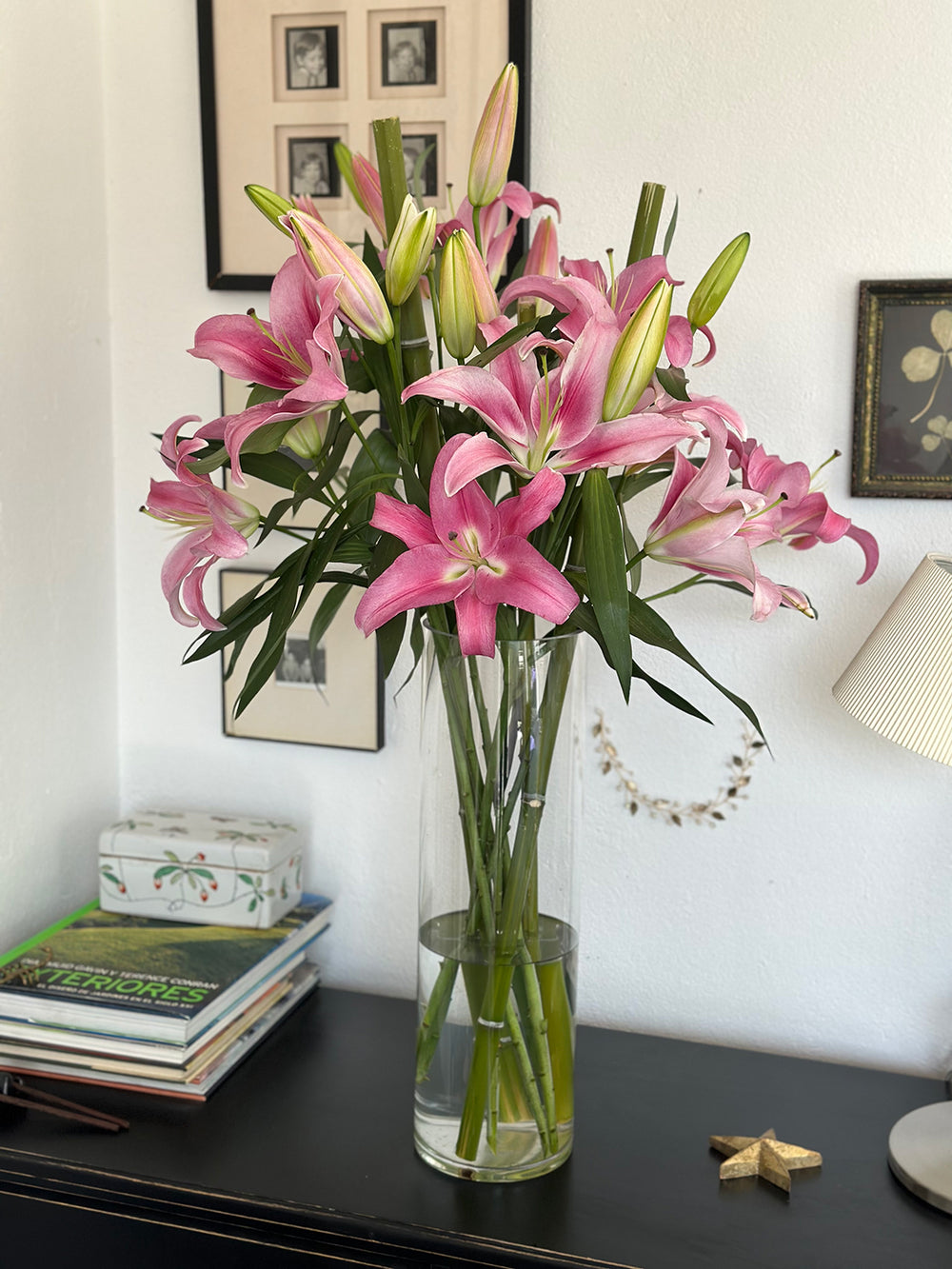 Pink Bloom